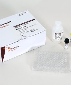 PiliKine compact human IL-1b ELISA Assay Kit