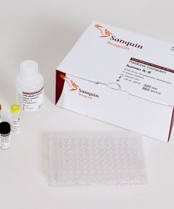 PeliKine compact human IL-6 ELISA Assay Kit