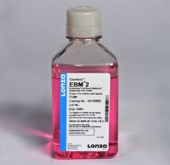 Endothelial Basal Medium -2 (EBM-2), 1L