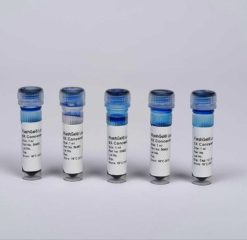 DNA LOADING BUFFER- (6x) 5 X 1ML