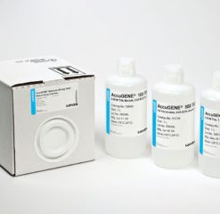 ACCUGENE 1X PBS-1L