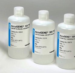 ACCUGENE 10X PBS-1L