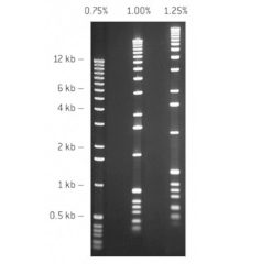 SeaKem® GTG AGAROSE 125G