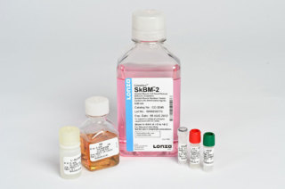 SkGM-2 BulletKit (CC-3244 & CC-3246) Lonza Bioscience