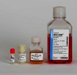 MSCBM hMSC Basal Medium, 440 ml