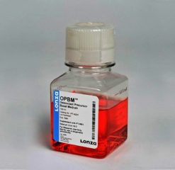 OCP Osteoclast Precur. Basal, 100 ml