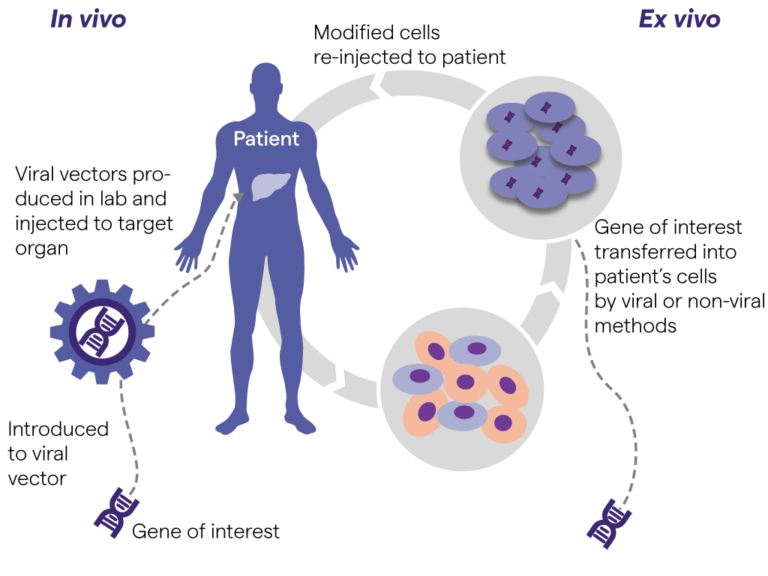 Cell And Gene Therapy | Lonza