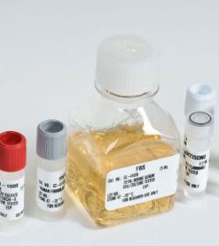 EGM™-2 MV Microvascular Endothelial SingleQuotsTM Kit