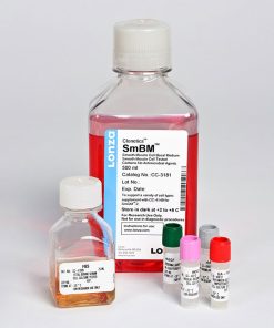 SmGM™- 2 Smooth Muscle Cell Growth Medium -2 BulletKit™