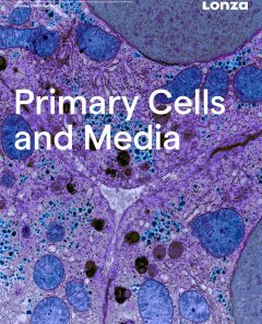 HUVEC – Human Umbilical Vein Endothelial Cells, Pooled, in EGM™