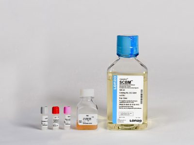 SCGM™ Stromal Cell Growth Medium BulletKit™